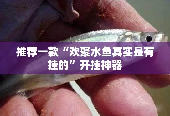 推荐一款“欢聚水鱼其实是有挂的”开挂神器