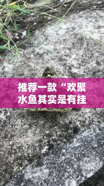 推荐一款“欢聚水鱼其实是有挂的”开挂神器