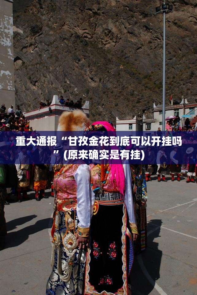 重大通报“甘孜金花到底可以开挂吗”(原来确实是有挂)