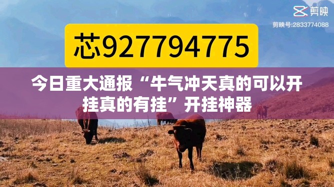 今日重大通报“牛气冲天真的可以开挂真的有挂”开挂神器