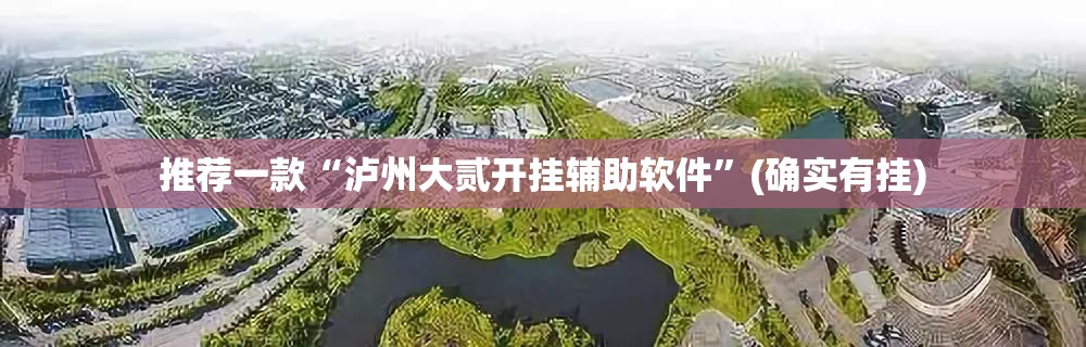 推荐一款“泸州大贰开挂辅助软件”(确实有挂)