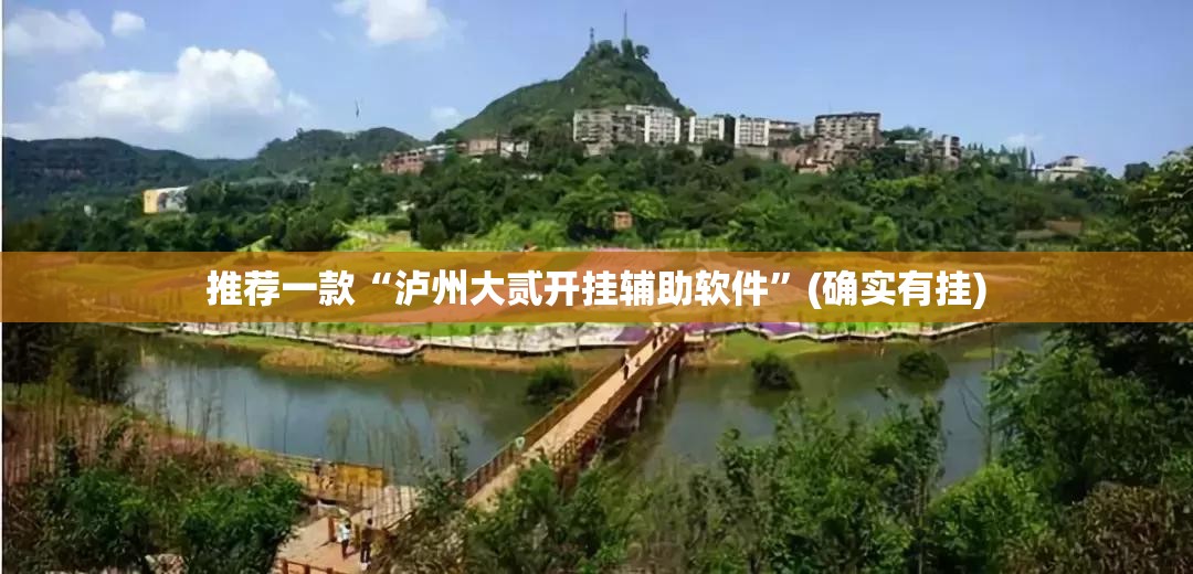 推荐一款“泸州大贰开挂辅助软件”(确实有挂)