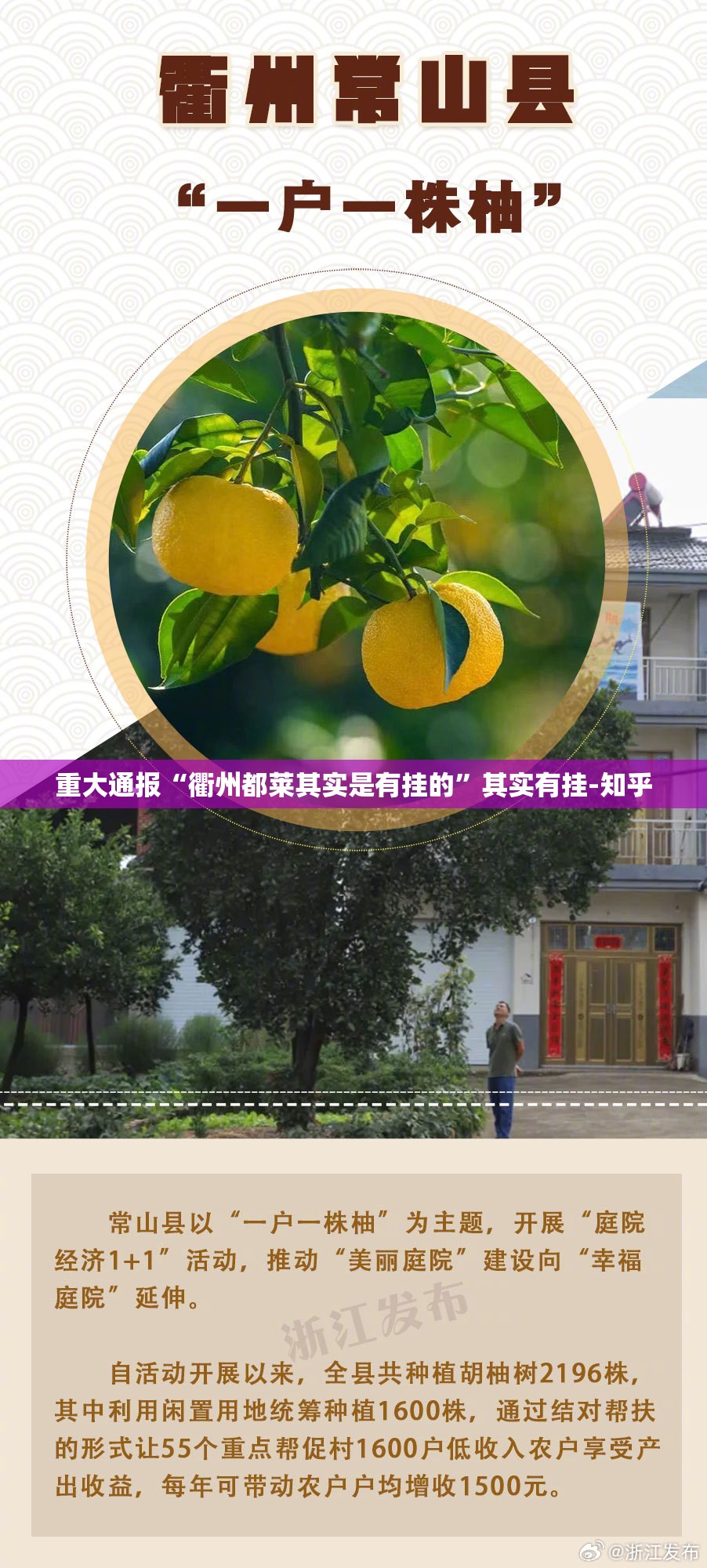 重大通报“衢州都莱其实是有挂的”其实有挂-知乎