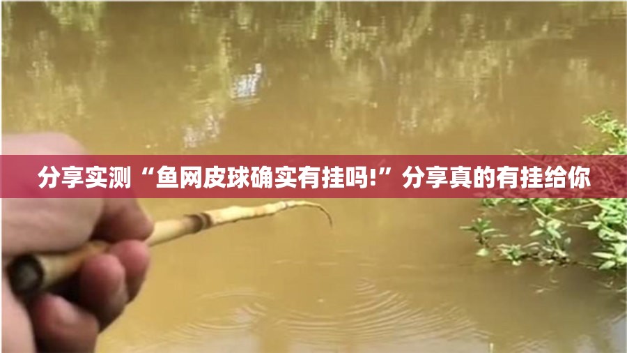 分享实测“鱼网皮球确实有挂吗!”分享真的有挂给你