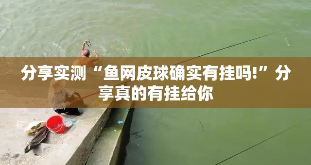 分享实测晟和互动其实有挂,真的确实有挂@太坑了真的有挂