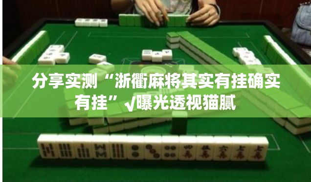 分享实测“浙衢麻将其实有挂确实有挂”√曝光透视猫腻