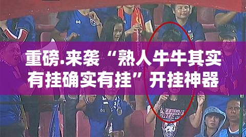 推荐一款娱网皮球开挂方法详细开挂教程真的确实有挂 推荐一款娱网皮球开挂方法详细开挂教程真的确实有挂