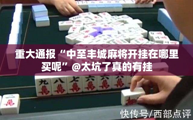 重大通报“中至丰城麻将开挂在哪里买呢”@太坑了真的有挂