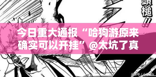 今日重大通报“哈狗游原来确实可以开挂”@太坑了真的有挂