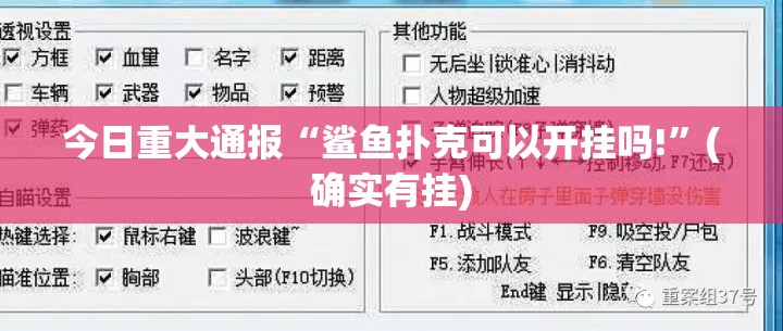 重磅.来袭天虹互娱可以开挂吗!其实确实有挂