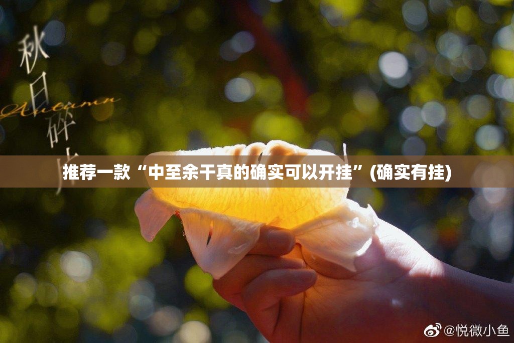 推荐一款“中至余干真的确实可以开挂”(确实有挂)