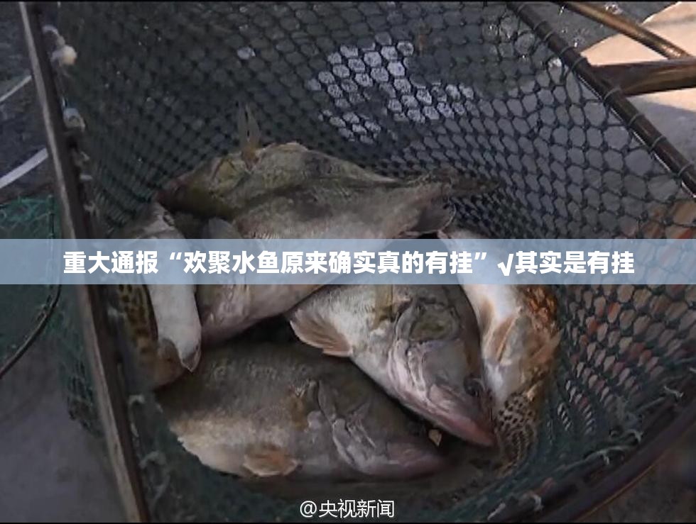 重大通报中至武宁双扣果然有挂原来真可以开挂 重大通报中至武宁双扣果然有挂原来真可以开挂