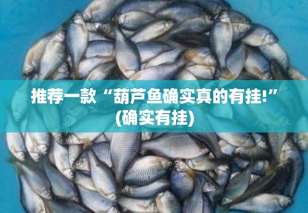 推荐一款“葫芦鱼确实真的有挂!”(确实有挂)