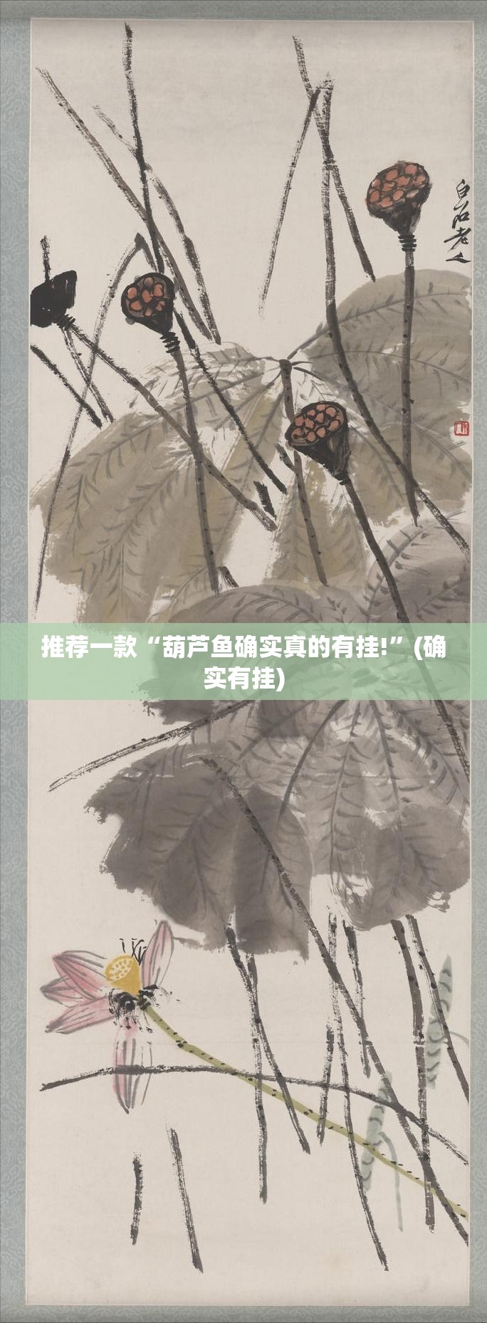 推荐一款“葫芦鱼确实真的有挂!”(确实有挂)