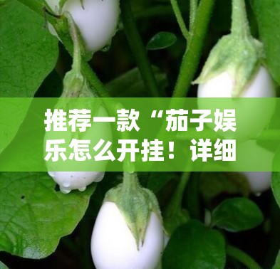 推荐一款“茄子娱乐怎么开挂！详细开挂教程”@太坑了真的有挂