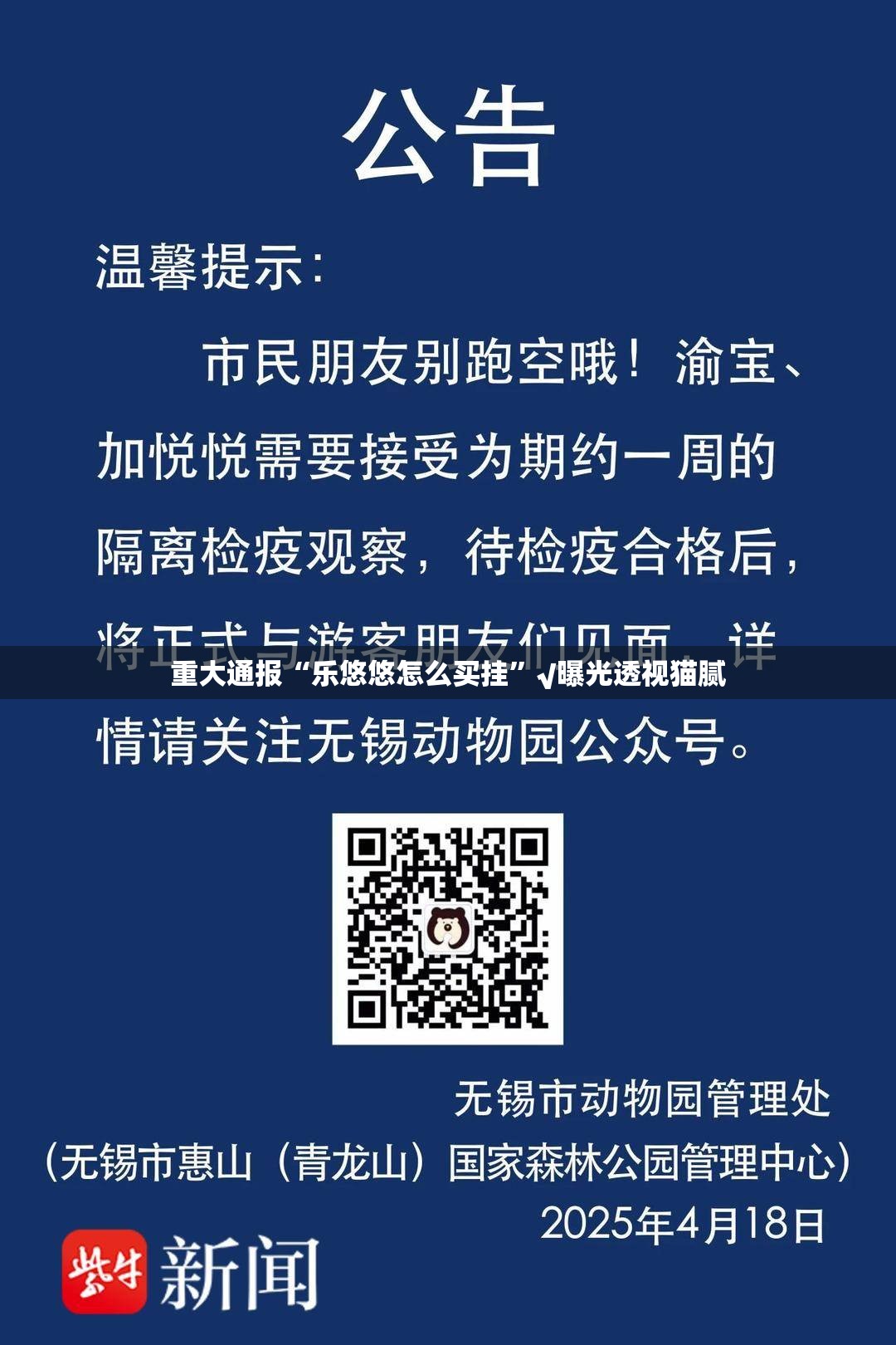 重大通报“乐悠悠怎么买挂”√曝光透视猫腻