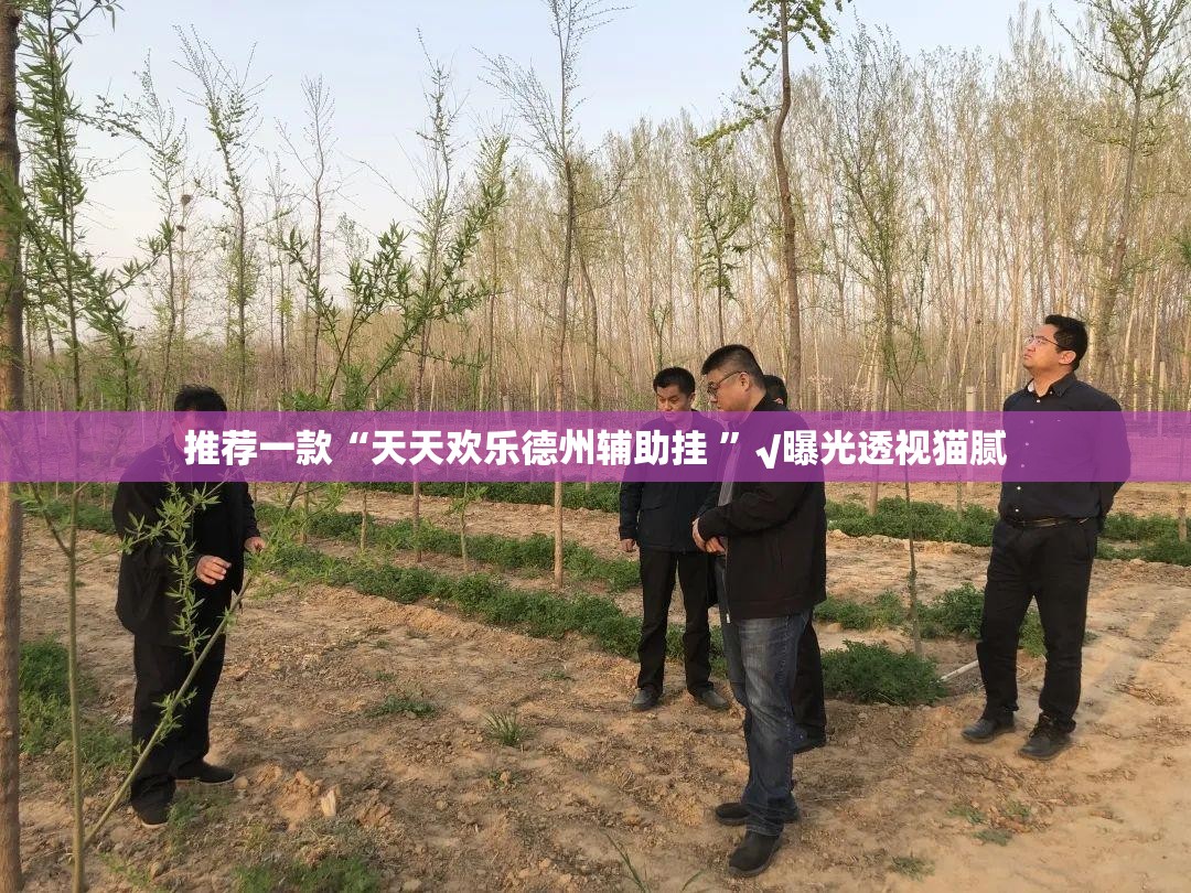 推荐一款“天天欢乐德州辅助挂 ”√曝光透视猫腻