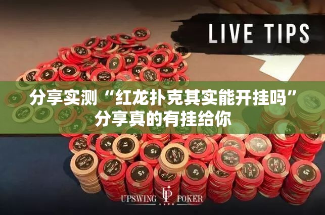 分享实测“红龙扑克其实能开挂吗”分享真的有挂给你