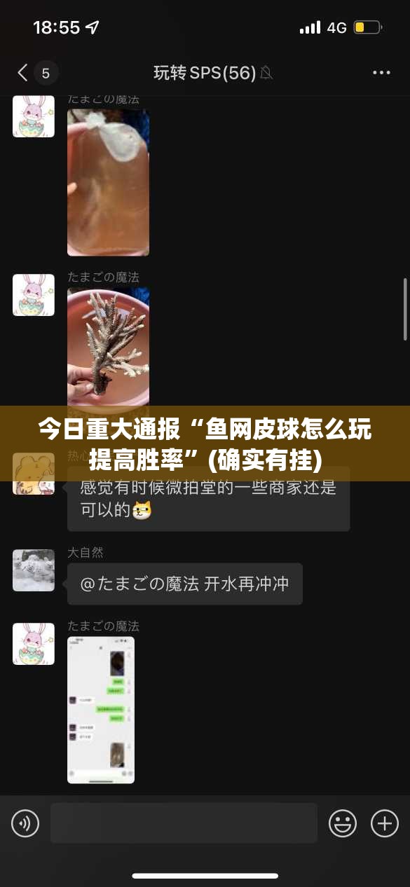 分享实测鷗動休闲的确有挂确实真的有挂2025（果然有挂）