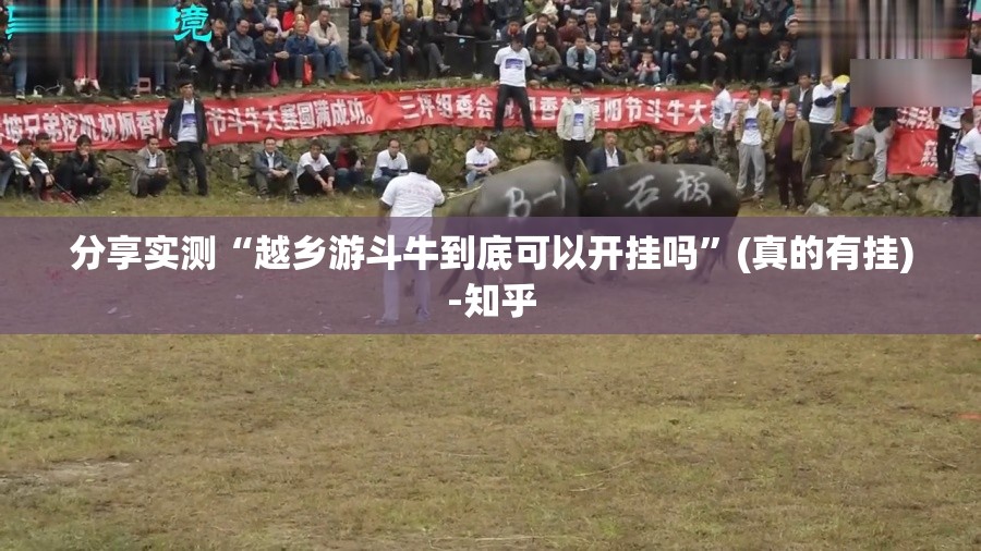 分享实测“越乡游斗牛到底可以开挂吗”(真的有挂)-知乎