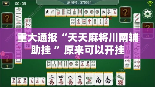 重大通报“天天麻将川南辅助挂 ”原来可以开挂
