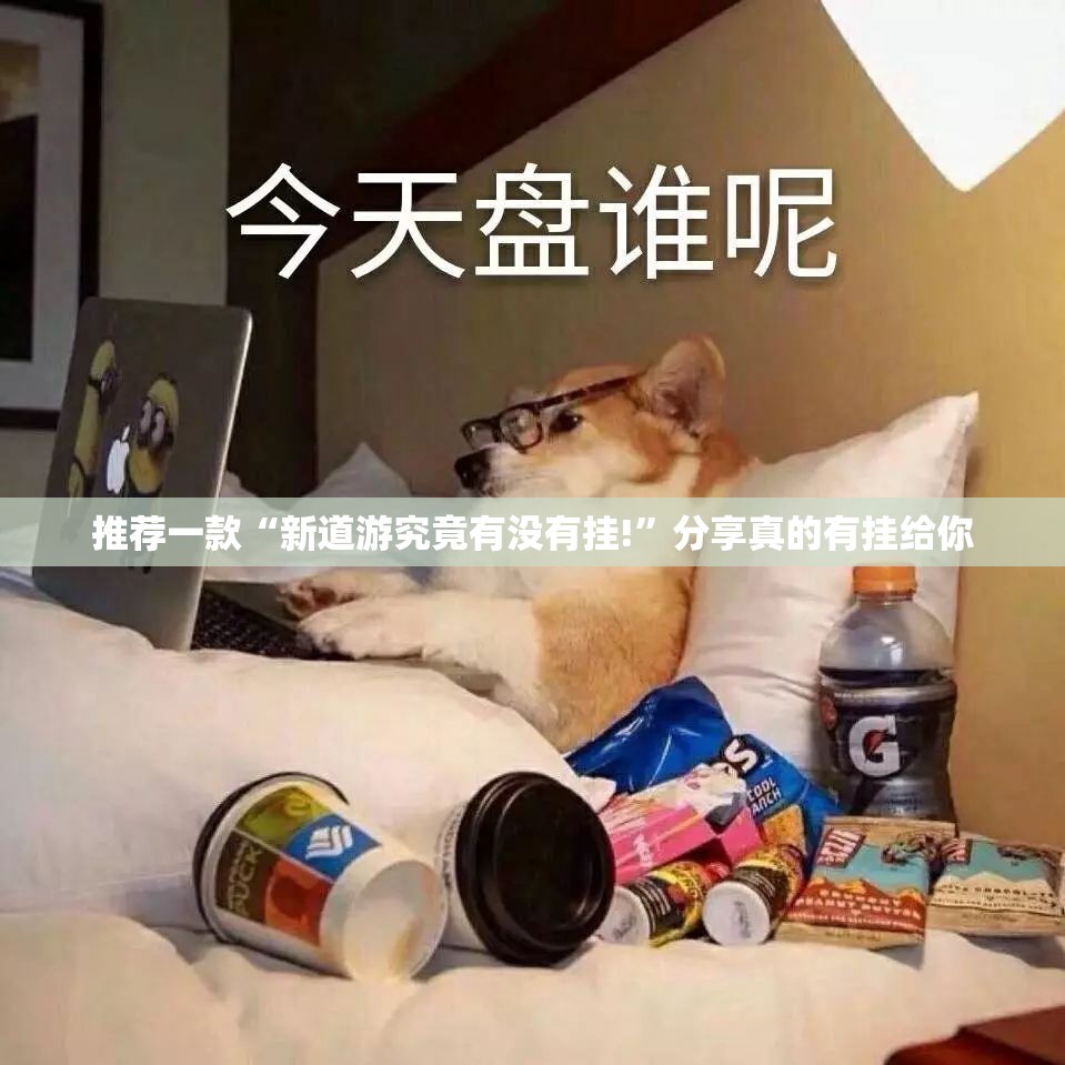 推荐一款“新道游究竟有没有挂!”分享真的有挂给你