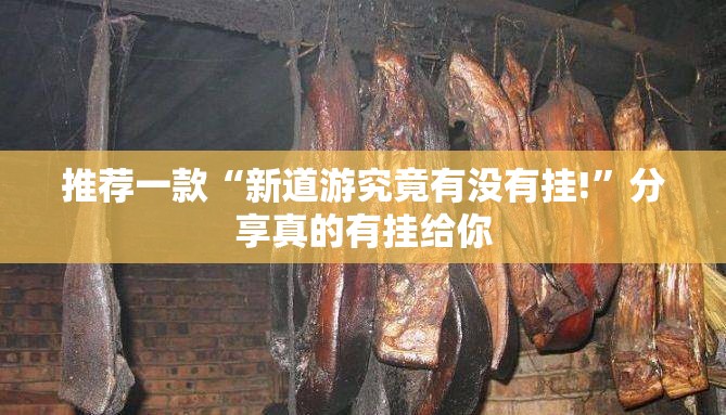 推荐一款德友汇怎么装挂(确实有挂)