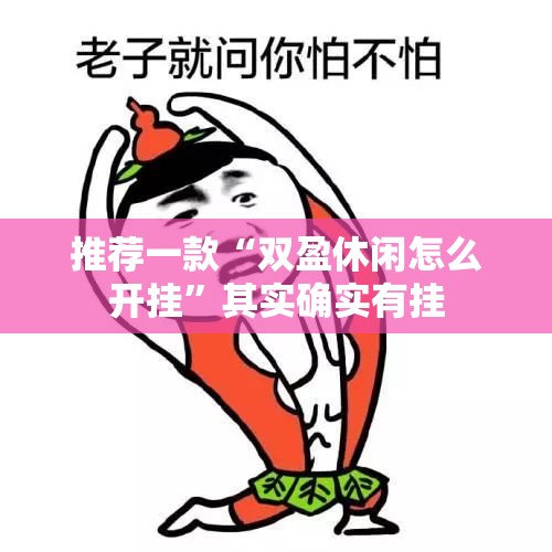 推荐一款“双盈休闲怎么开挂”其实确实有挂