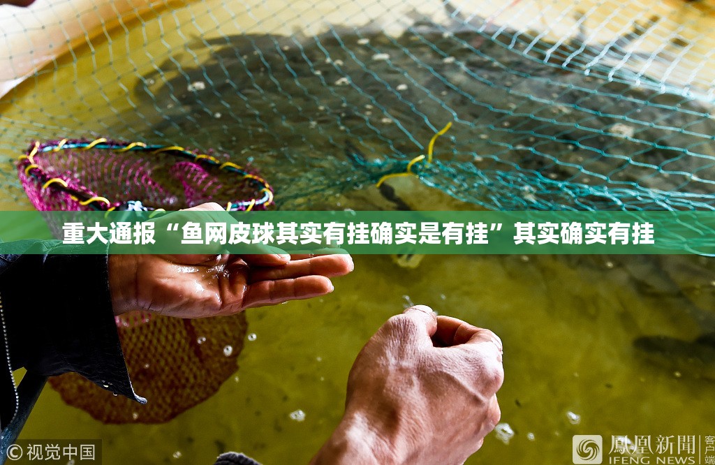 重大通报“鱼网皮球其实有挂确实是有挂”其实确实有挂