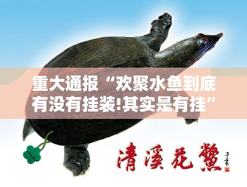 重大通报“欢聚水鱼到底有没有挂装!其实是有挂”开挂神器