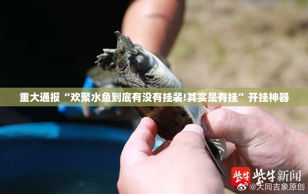 重大通报“欢聚水鱼到底有没有挂装!其实是有挂”开挂神器