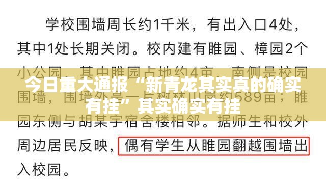 今日重大通报“新青龙其实真的确实有挂”其实确实有挂
