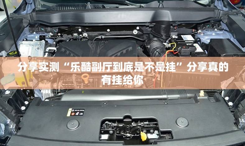 重大通报微乐广西麻将透视软件分享真的有挂给你 重大通报微乐广西麻将透视软件分享真的有挂给你