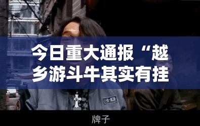 今日重大通报“越乡游斗牛其实有挂确实真的有挂”开挂神器