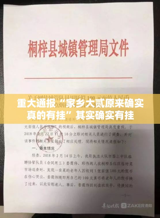 重大通报“家乡大贰原来确实真的有挂”其实确实有挂