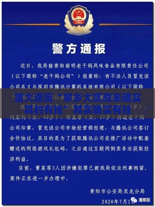 重大通报“家乡大贰原来确实真的有挂”其实确实有挂