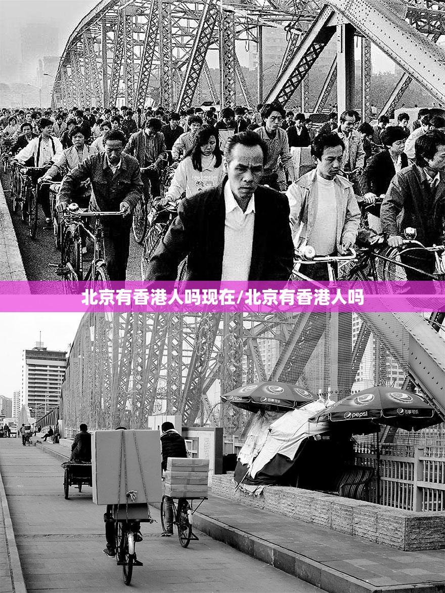 推荐一款晟和互动原来确实可以开挂原来可以开挂