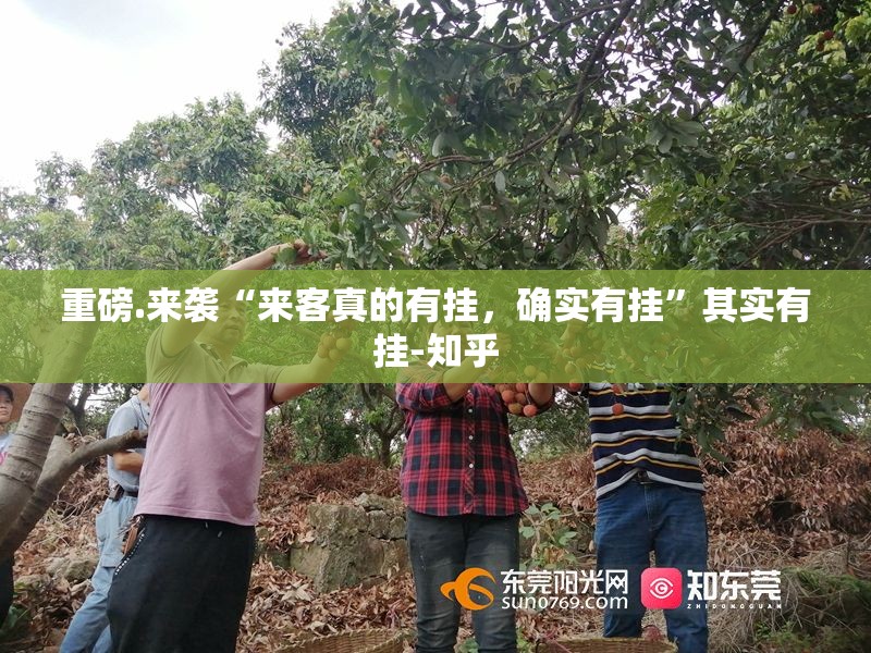 重磅.来袭“来客真的有挂，确实有挂”其实有挂-知乎