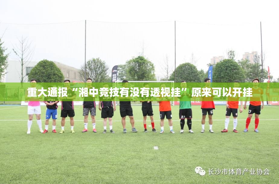 重大通报“湘中竞技有没有透视挂”原来可以开挂