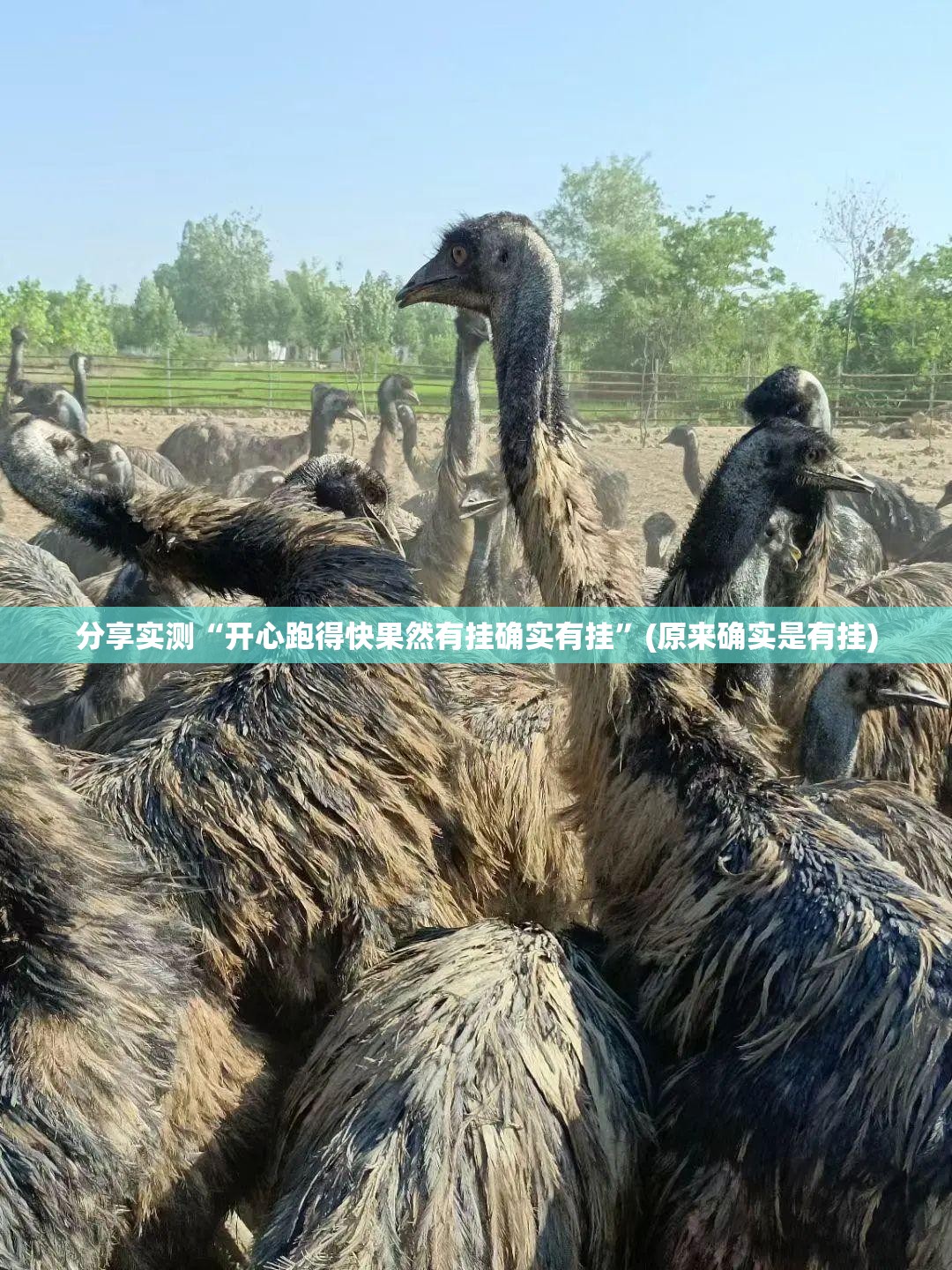 重大通报娱网皮球怎么买挂分享真的有挂给你 重大通报娱网皮球怎么买挂分享真的有挂给你