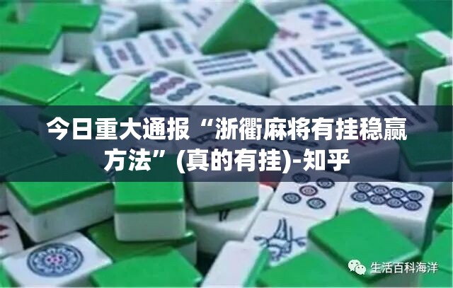 今日重大通报“浙衢麻将有挂稳赢方法”(真的有挂)-知乎