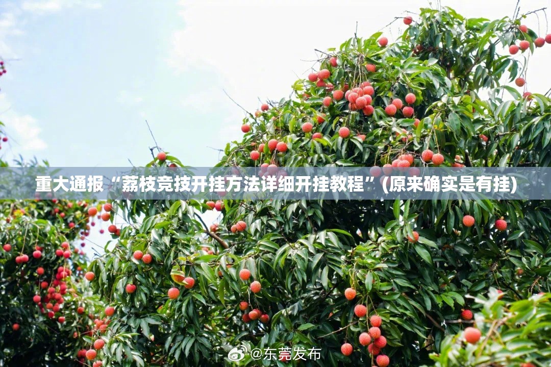 推荐一款永州扯胡子开挂软件原来真可以开挂