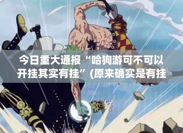 今日重大通报“哈狗游可不可以开挂其实有挂”(原来确实是有挂)