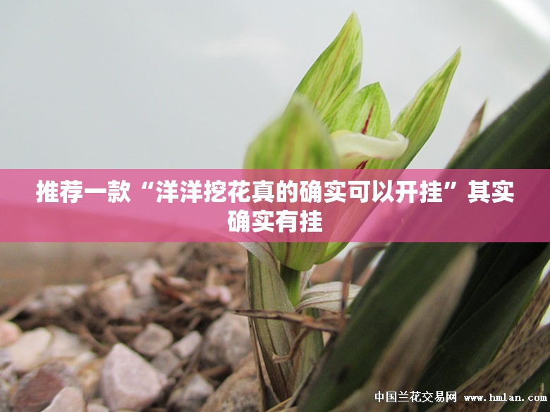 分享实测掼蛋开挂辅助!详细开挂教程其实真的确实有挂 分享实测掼蛋开挂辅助!详细开挂教程其实真的确实有挂