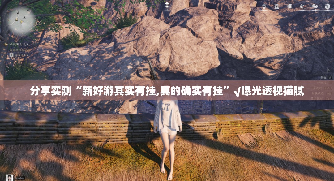 分享实测“新好游其实有挂,真的确实有挂”√曝光透视猫腻