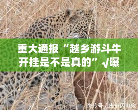 分享实测天虹互娱怎么开挂开挂技巧@太坑了真的有挂 分享实测天虹互娱怎么开挂开挂技巧@太坑了真的有挂