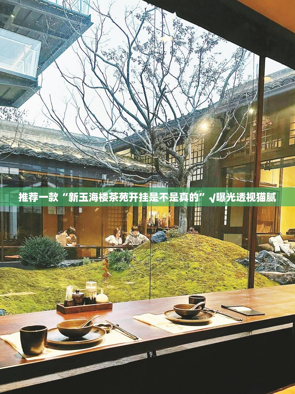 推荐一款“新玉海楼茶苑开挂是不是真的”√曝光透视猫腻
