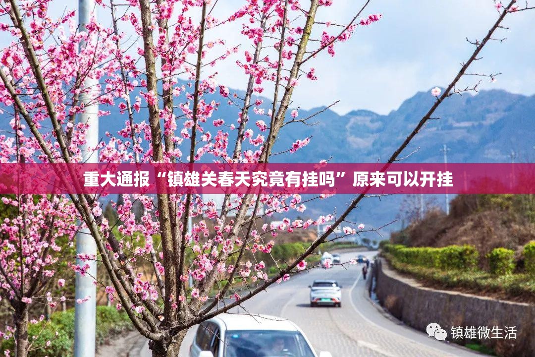 分享实测三三麻将确实有挂吗!其实确实有挂