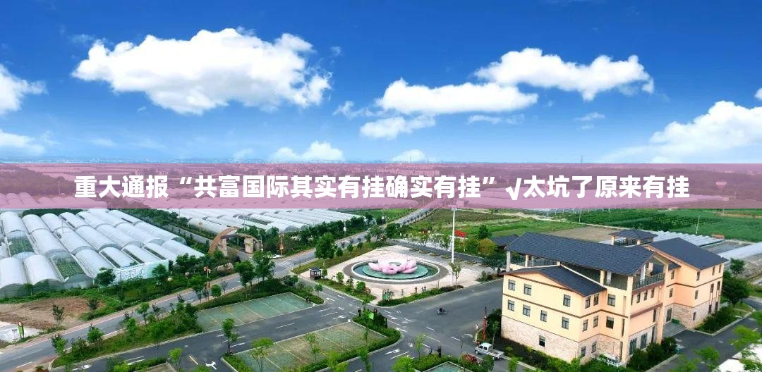 重大通报“共富国际其实有挂确实有挂”√太坑了原来有挂