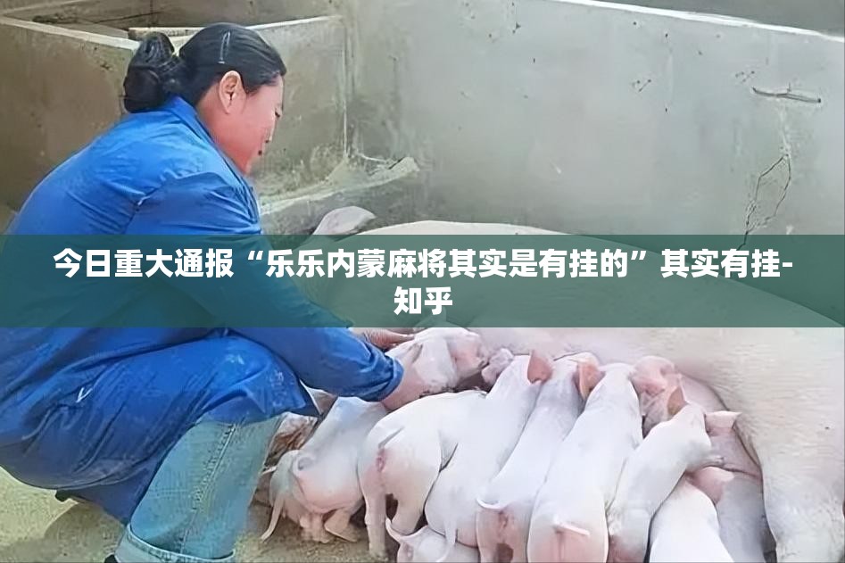 今日重大通报“乐乐内蒙麻将其实是有挂的”其实有挂-知乎